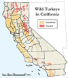 Wild Turkey Range digitized