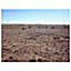 .22 Acre Land NW of Holbrook, Arizona