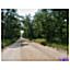 3 TREED LOTS LAKE COUNTY MICHIGAN - BUILDABLE