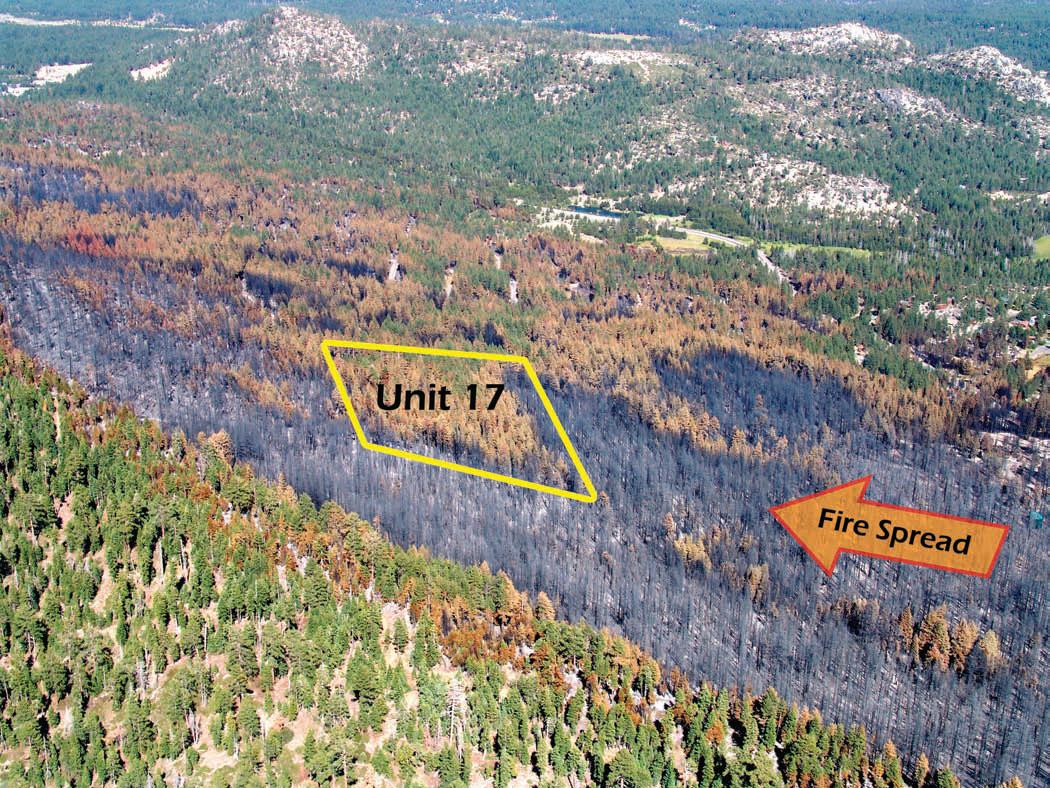 Fuel Reduction - Angora Fire Map