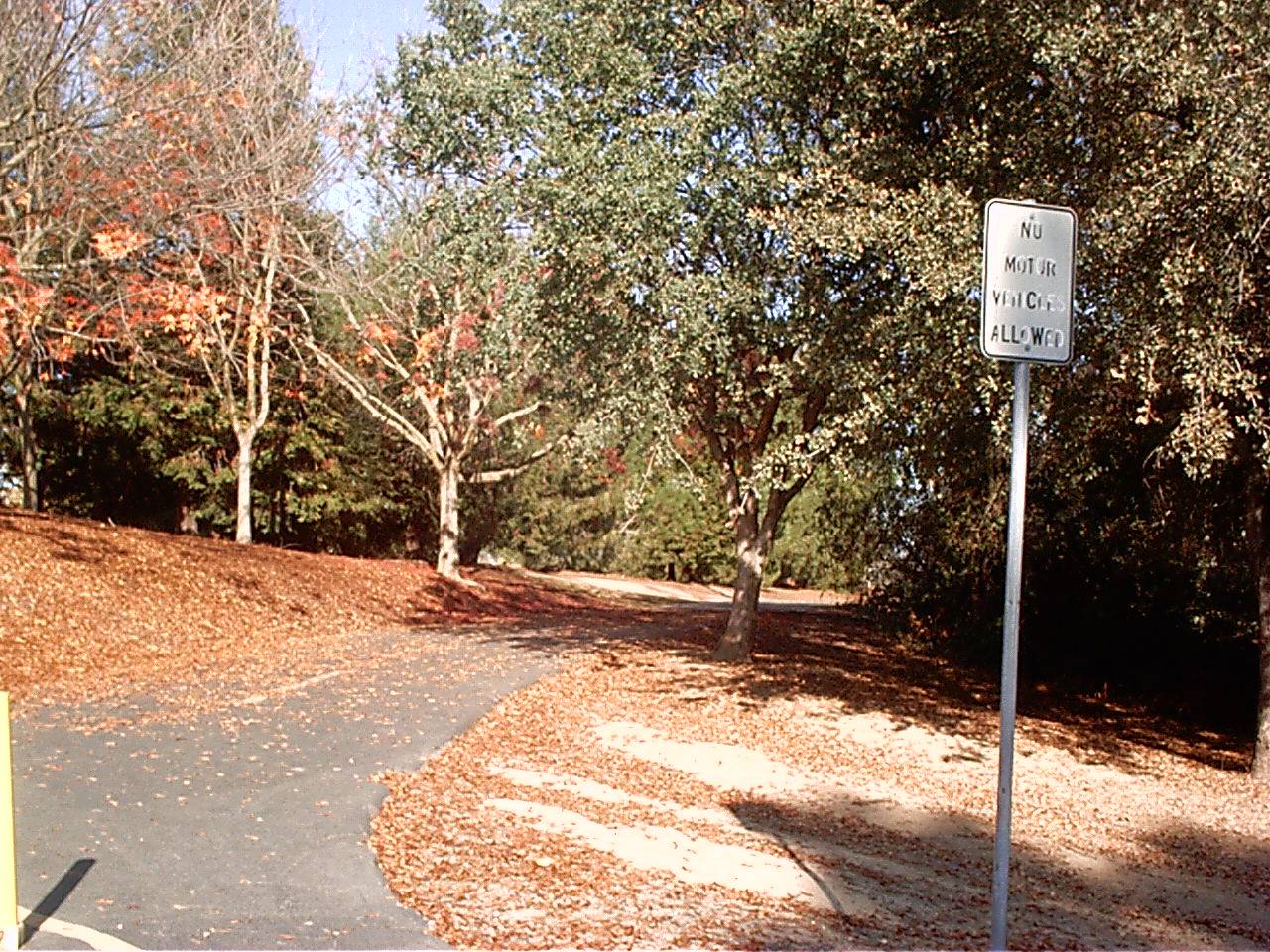 Beginning of Trail at Maidu Regional Park, Roseville