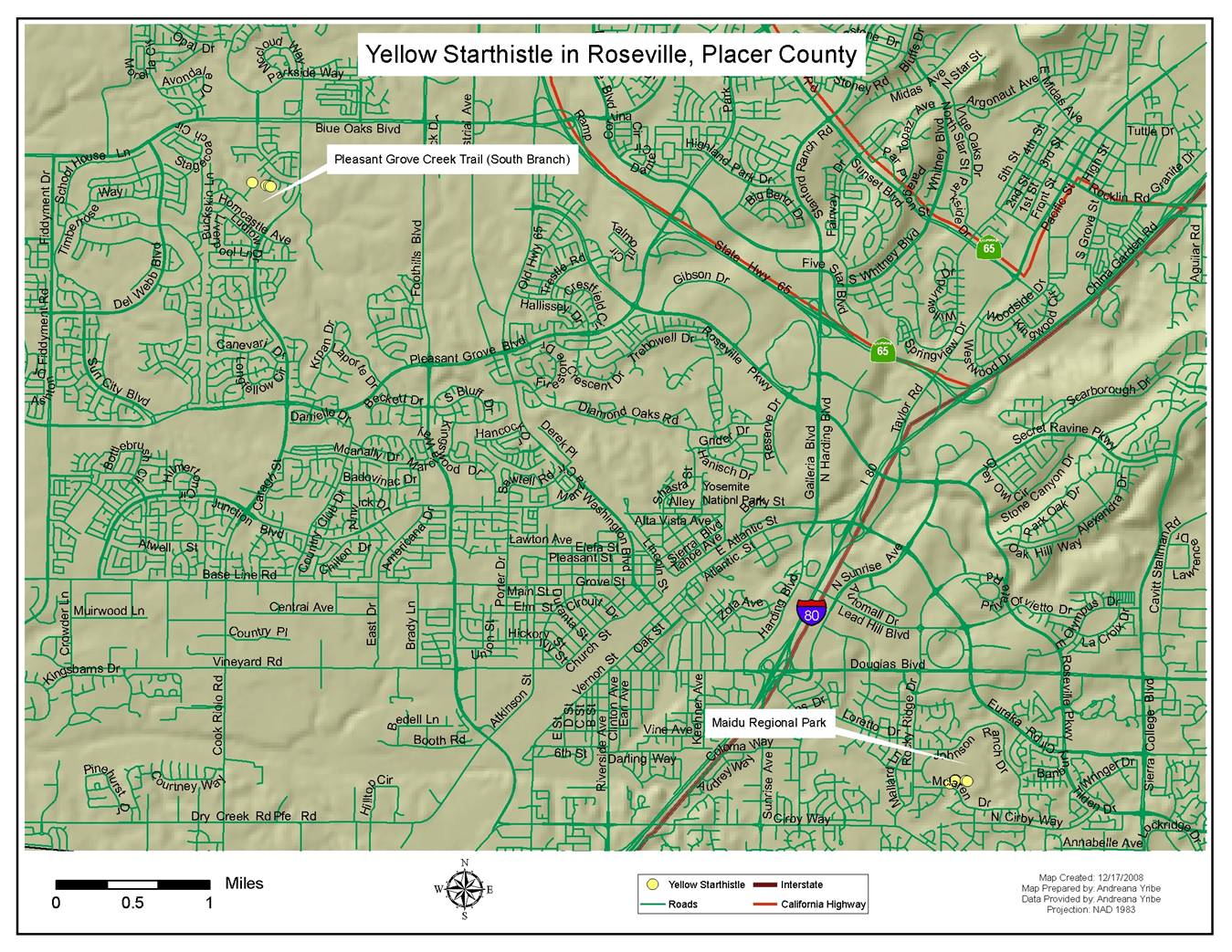 Map of Marked Yellow Starthistle Points in Roseville