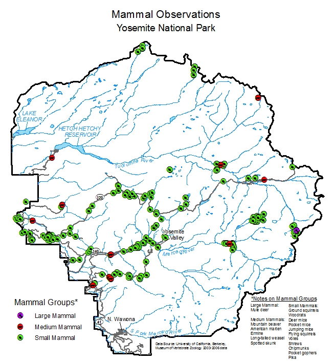 Figure 1 Mammal Observations