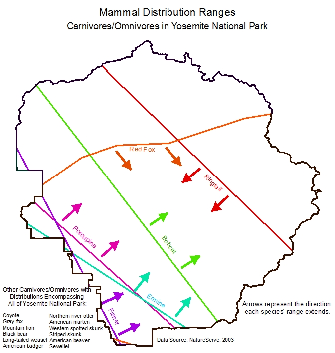 Figure 4 Carnivores and Omnivores