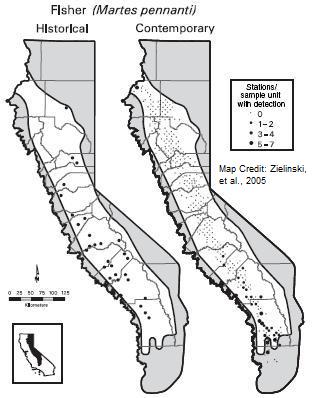 Figure 10 Fisher Historic and Contemporary Distribution