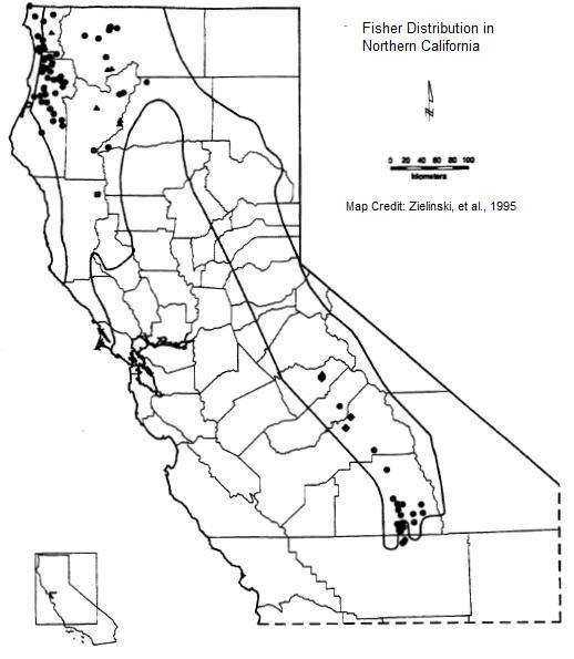 Figure 9 Fisher Distribution