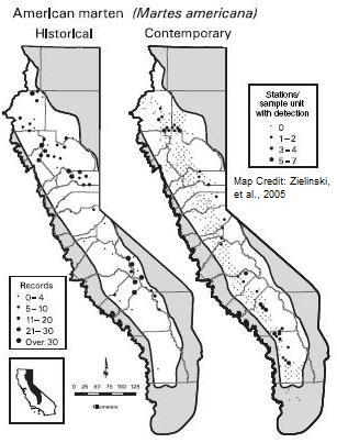 Figure 11 Marten Historic and Contemporary Distribution