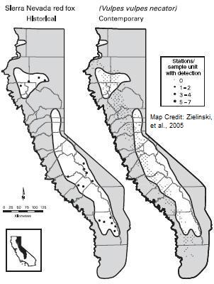 Figure 12 Red Fox Historic and Contemporary Distribution