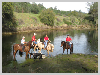 Mounted Assistance Unit (MAU) Horseback riding at Lake Oroville