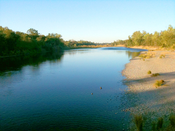 American River Low Water Level