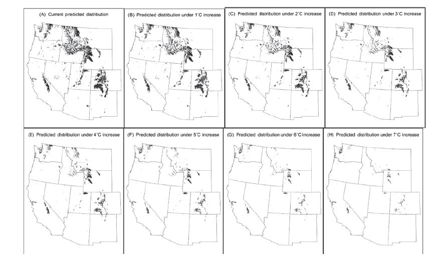Projected Pika Climate Change Range