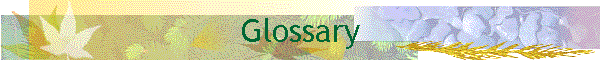 Glossary